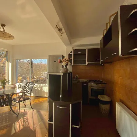 Iulia's Guest house 2*