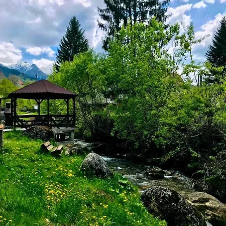 Iulia's Guest house